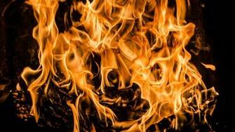 Wallpaper Bonfire Fire Firewood Flame