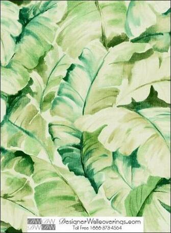 Tito S Tropical Banana Leaf Wall Paper Wat Designer