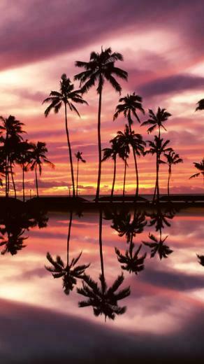 Sunset Over The Ala Moana Beach Park Honolulu Oahu Hawaii