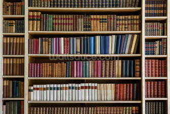 Zoom Background Image Bookshelves Wallpaper