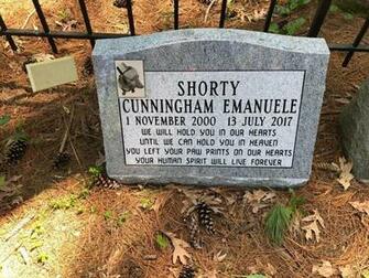 Attorney To Owner You Have Days Exhume Pets From Mich Cemetery