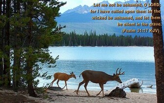 Scenic Wallpaper With Bible Verses