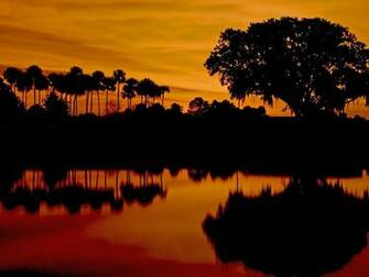 Jacksonville Nights Florida HD Wallpaper And Make This For