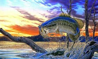 Bass Fishing Wallpaper Gallery