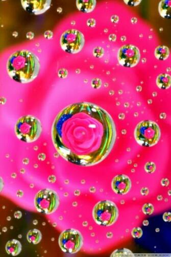 Pink Water Wallpaper Pictures