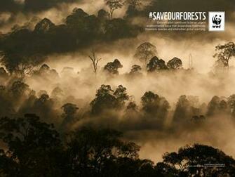 For Your Desktop Wwf Wallpaper Top Quality