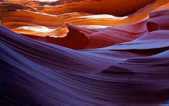 Bing Desktop Animation HD Wallpaper