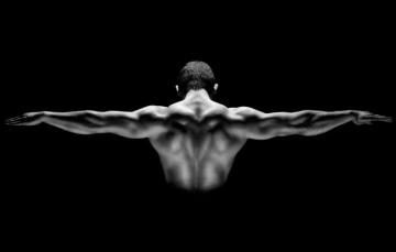 Wallpaper Man Back Muscular Image For Desktop Section