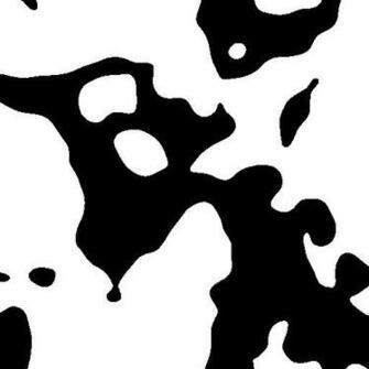 Now You Should Have A Two Tone Image Black And White Area Resembling