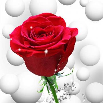Custom Photo Mural Wallpaper Modern Fashion 3d Butterfly Rose