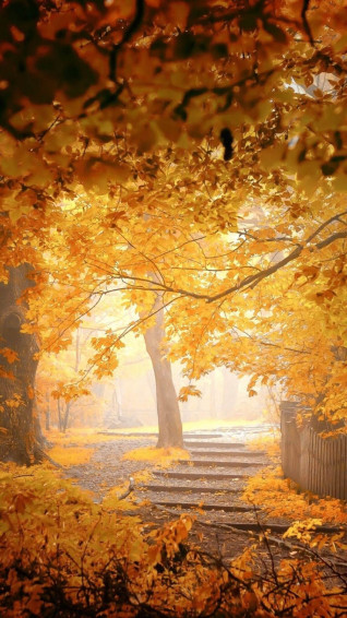 Fall Phone Wallpaper Pretty And Cute