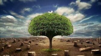 Breaking Church To Host A Two Day Summit On Climate Change
