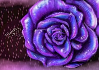 Purple Rose Wallpaper Keywords Here