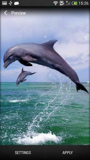 Dolphin Live Wallpaper Android Apps On Google Play
