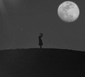 Shoot For The Moon By Thefoxandtheraven