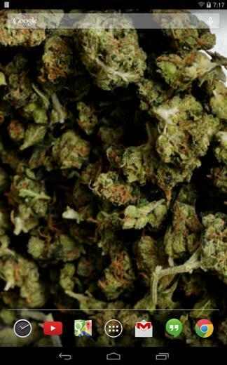 Sour Diesel Live Wallpaper App Android Su Google Play