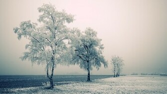 Apple Mac Desktop Wallpaper HD Background The Winter