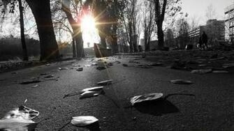 Sidewalk HD Wallpaper Background Image