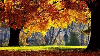 Autumn Wallpaper HD Desktop