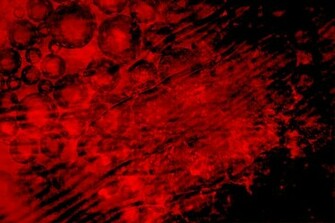 Create A Grindhouse Inspired Background With The Microscopic