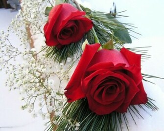Wallpaper Of Flowers Nature