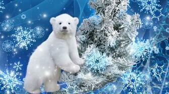Navidad De Oso Polar Fondo Pantalla