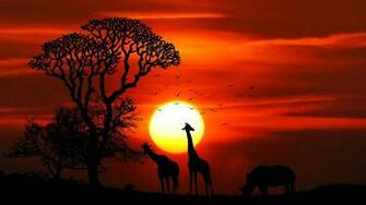 Natural Sunset HD Wallpaper 1080p Wallpaperpit