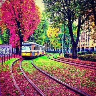 Train Wallpaper With Beautiful Flowers Nature Hot HD