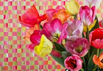 This A New Palette For Mackenzie Childs Checks Meet Tulip Check