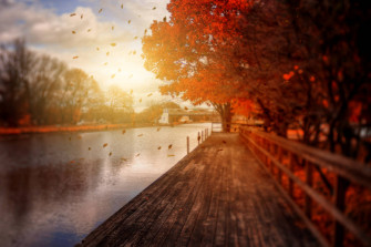Lensbaby Photos Of The Week