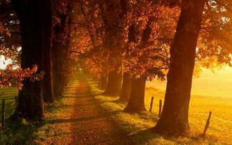 Autumn Scenery Wallpaper
