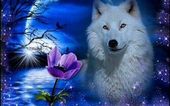 White Wolf Wallpaper