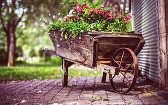 Vintage Flower Pot Wallpaper HD Expert