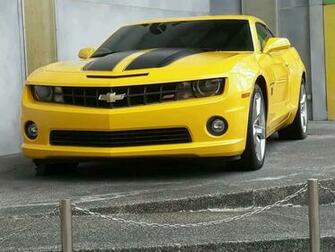 Stealthy Bumblebee Wallpaper