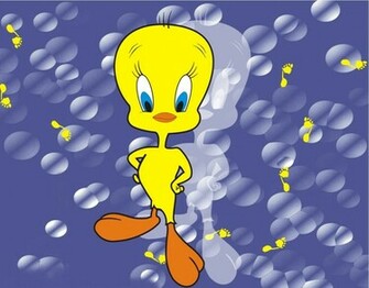 Tweety Cartoon Wallpaper Desktop Funny Strange Picture