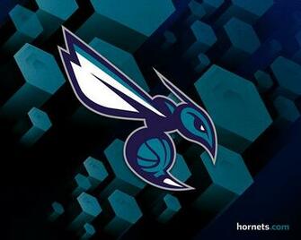 Charlotte Hornets Inaugural Web Presence On