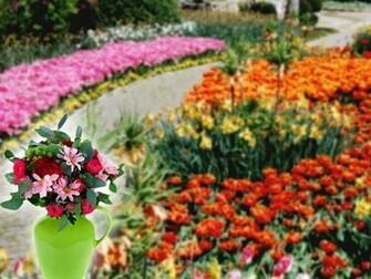 Flowers Garden Wallpaper