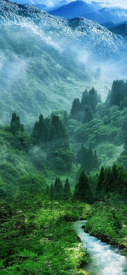 Nature Mist Mountain Wood Forest River Landscape iPhone Wallpaper