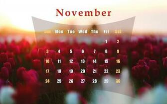 November HD Wallpaper Calendar