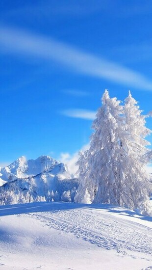 Winter Landscape iPhone Wallpaper Tags Snow Trees