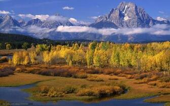 Wallpaper Aspen Trees Snake River Mount Moran Oxbow Bend