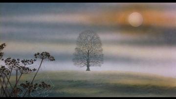 Watership Down
