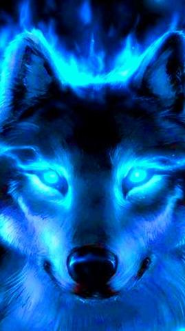 3d iPhone Wallpaper Cool Wolf