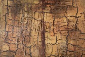 Grunge Texture Paint Effect Chipped Surface Tan Stain Wallpaper