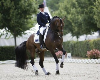 Lusitano Dressage Wallpaper