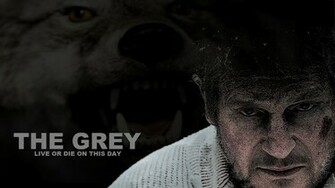 Eyesurfing The Grey Movie Wallpaper