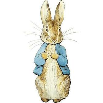 Peter Rabbit News Chinacraft