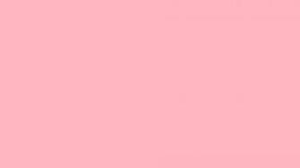Pink Solid Color Background And The Below