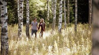 Wallpaper Love Boy Girl Forest Birch