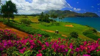 Golf Course Widescreen Wallpaper